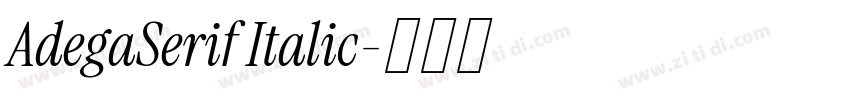 AdegaSerif Italic字体转换
